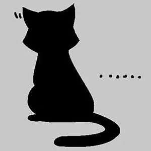 杨晨晨的土豪定制视频内容
