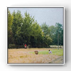 杨晨晨的土豪定制视频内容
